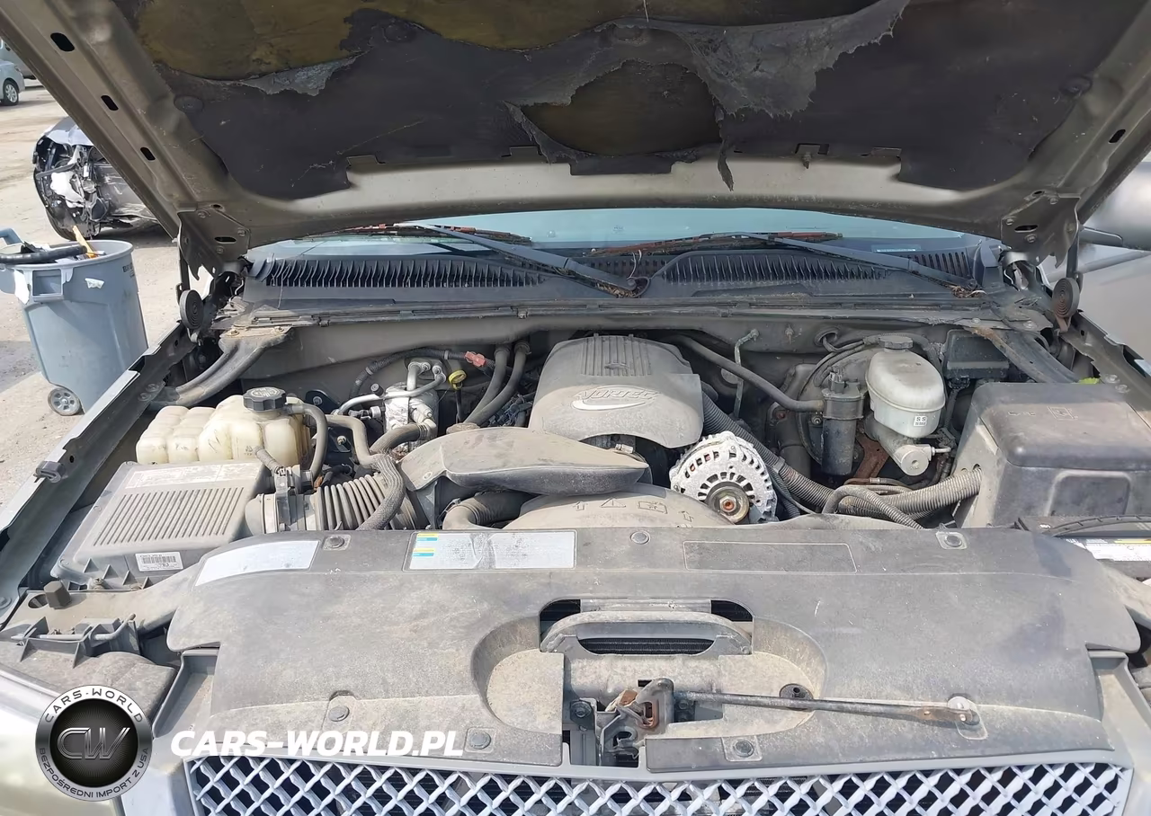 2003 Chevrolet Silverado 1500 Work Truck VIN:1GCEK14T33Z167012 - 10