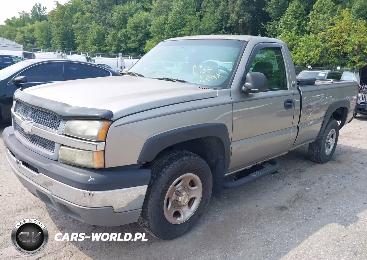 2003 Chevrolet Silverado 1500 Work Truck VIN:1GCEK14T33Z167012 - 2