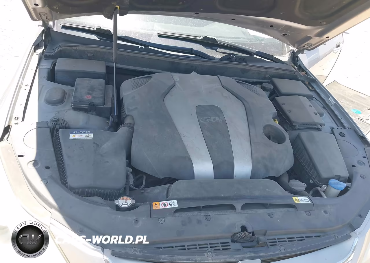 2013 Hyundai Genesis 3.8 VIN:KMHGC4DD2DU240378 - 10