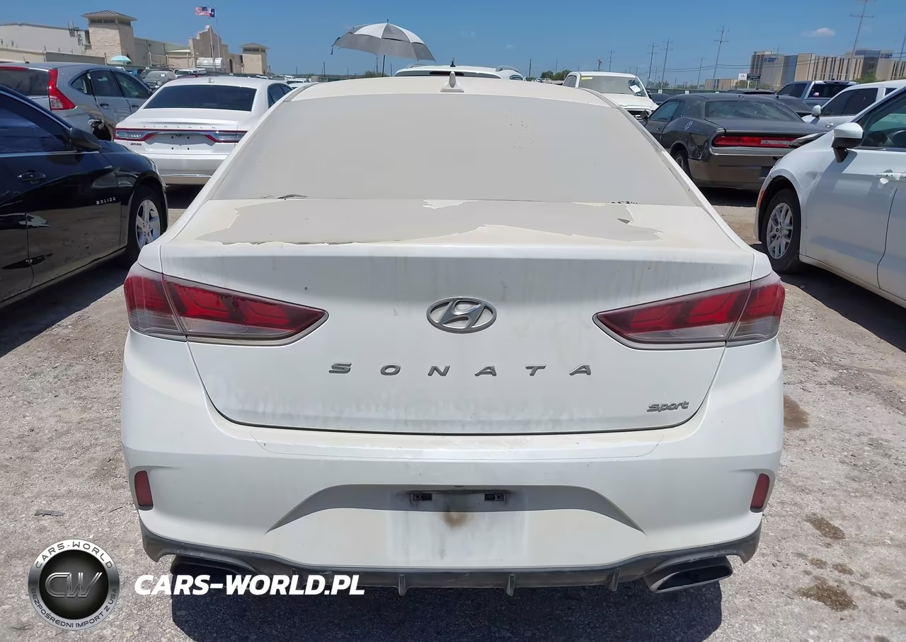 2019 Hyundai Sonata Sport VIN:5NPE34AF5KH772782 - 16
