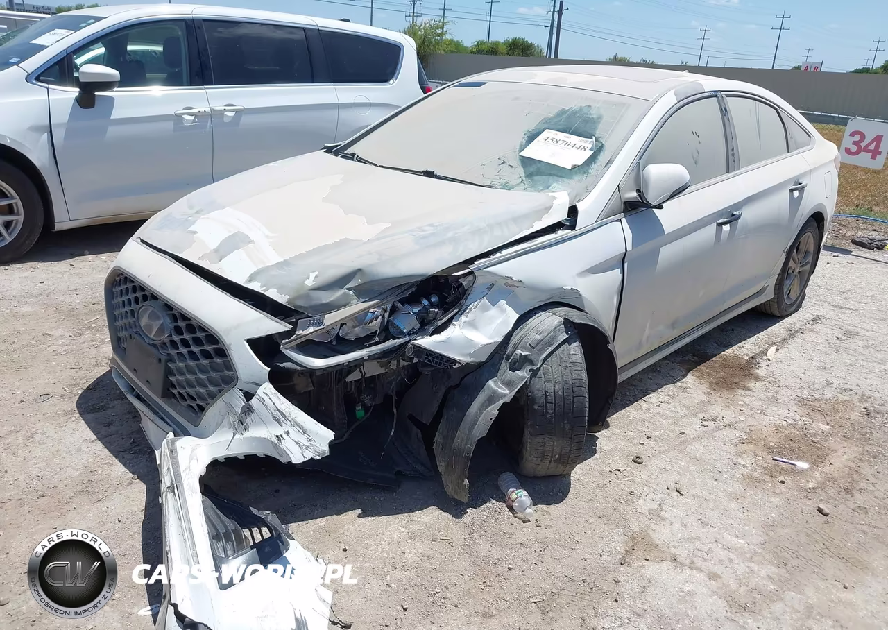 2019 Hyundai Sonata Sport VIN:5NPE34AF5KH772782 - 2