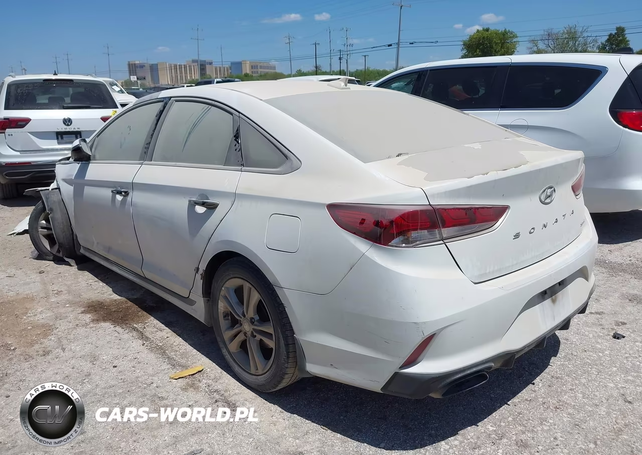 2019 Hyundai Sonata Sport VIN:5NPE34AF5KH772782 - 3