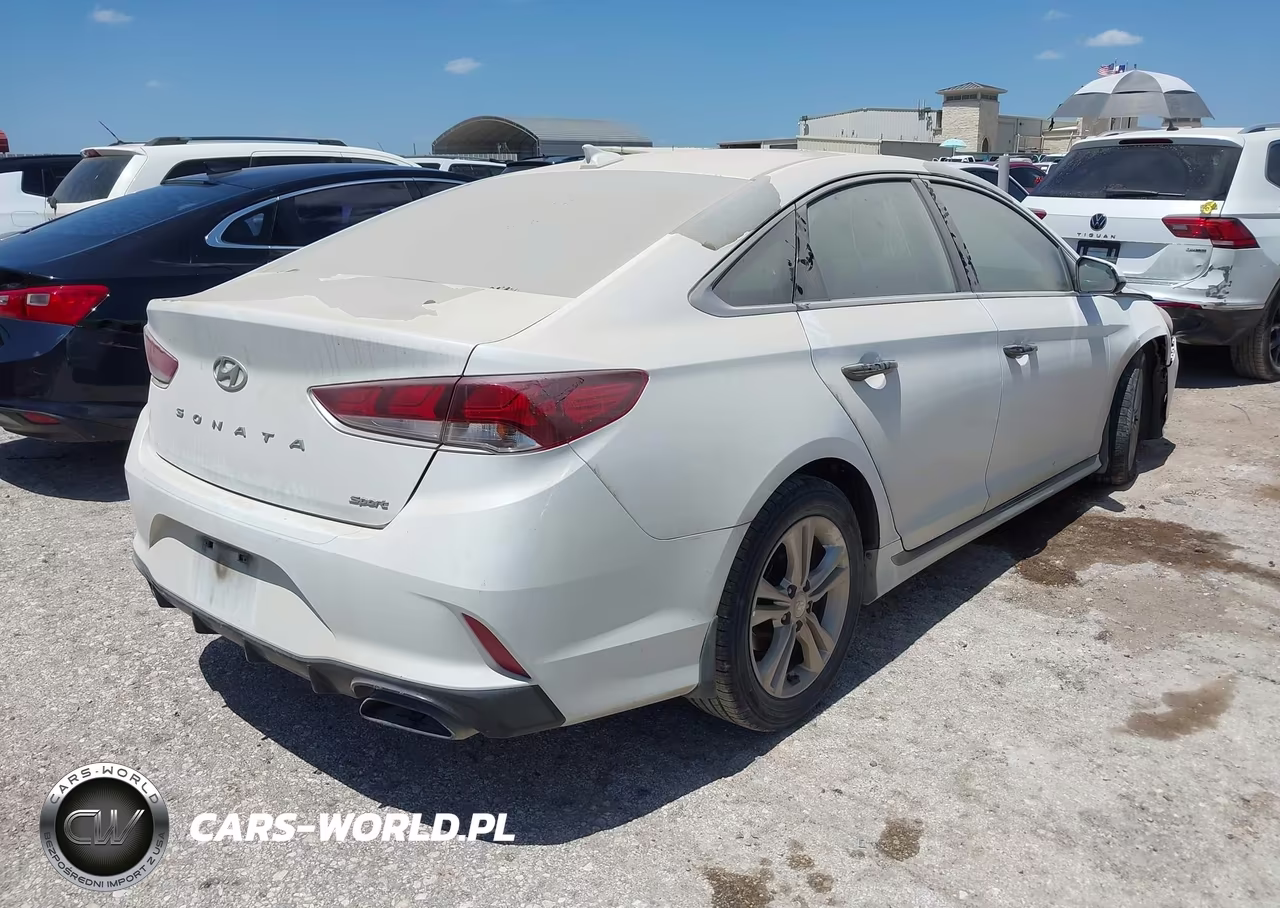 2019 Hyundai Sonata Sport VIN:5NPE34AF5KH772782 - 4