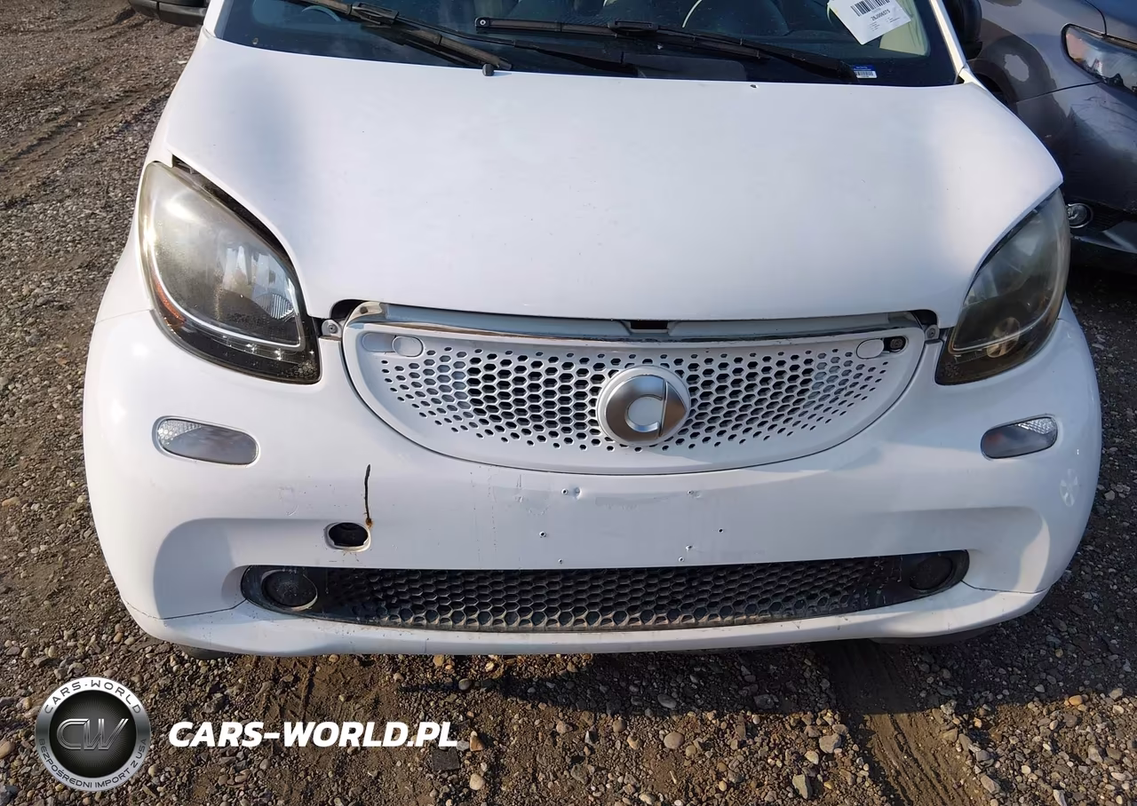 2016 Smart Fortwo Passion-Prime-Proxy-Pure VIN:WMEFJ5DA2GK104352 - 6