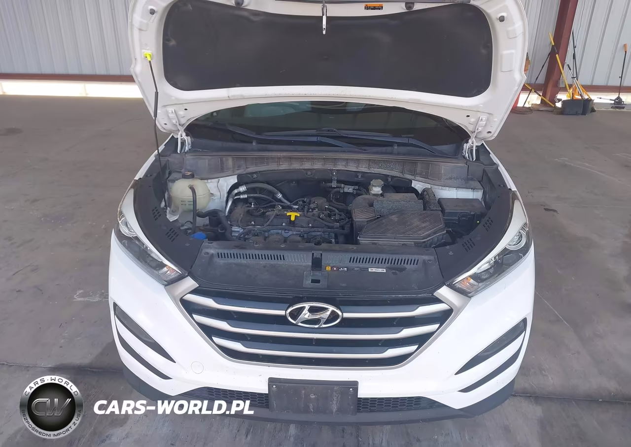 2017 Hyundai Tucson Se VIN:KM8J3CA46HU316761 - 10
