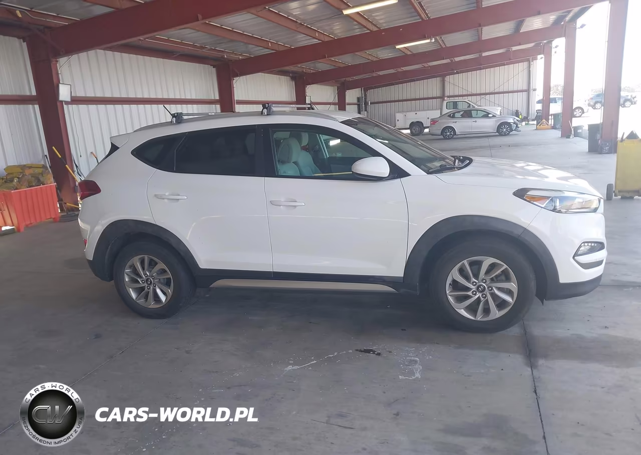2017 Hyundai Tucson Se VIN:KM8J3CA46HU316761 - 13