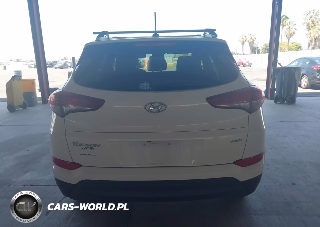 2017 Hyundai Tucson Se VIN:KM8J3CA46HU316761 - 16