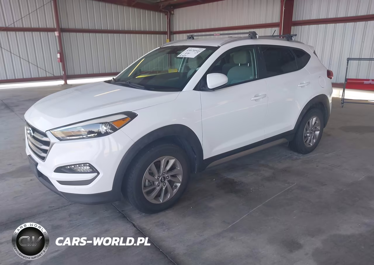2017 Hyundai Tucson Se VIN:KM8J3CA46HU316761 - 2