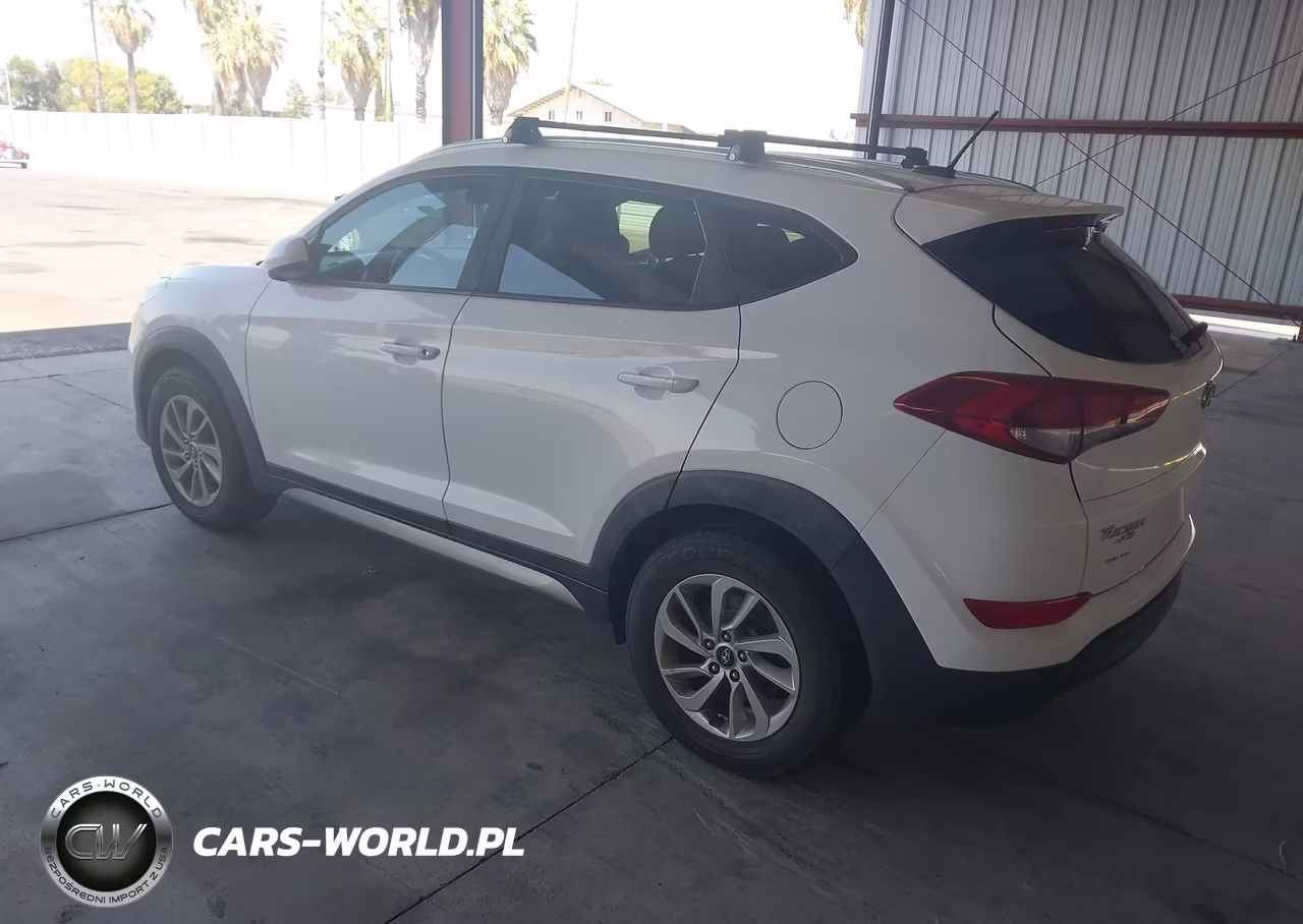 2017 Hyundai Tucson Se VIN:KM8J3CA46HU316761 - 3