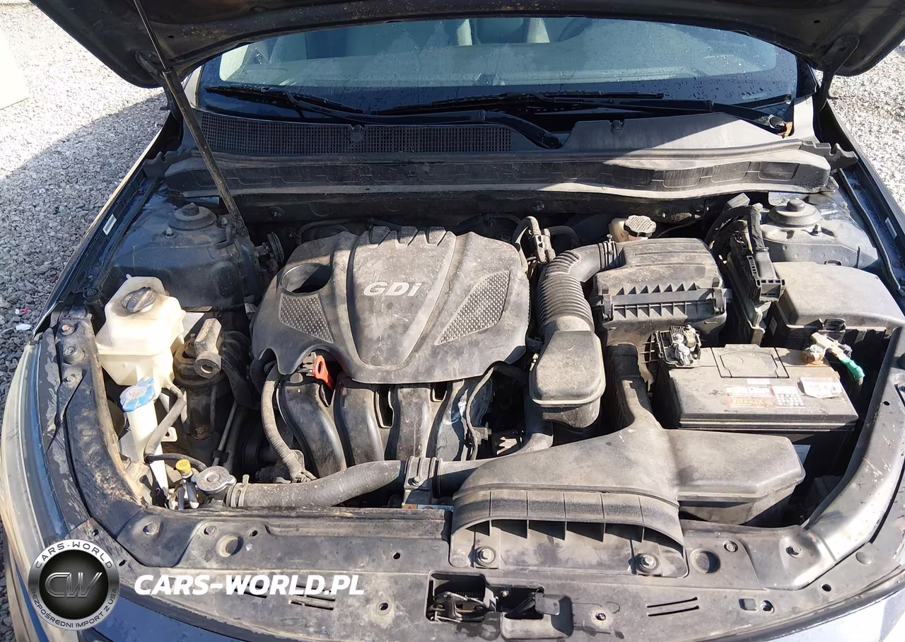 KIA OPTIMA VIN:5XXGM4A79FG441283 - 10
