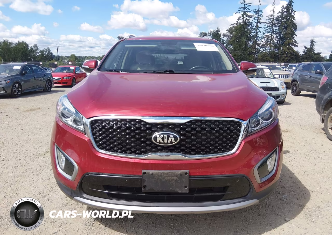 2016 Kia Sorento 3.3L Ex VIN:5XYPHDA58GG176243 - 12