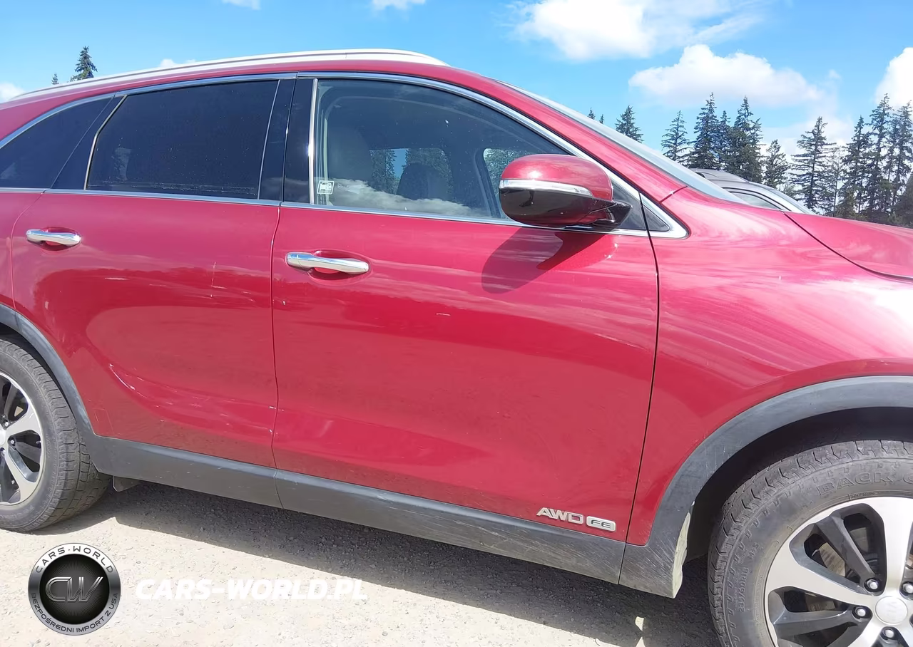2016 Kia Sorento 3.3L Ex VIN:5XYPHDA58GG176243 - 13