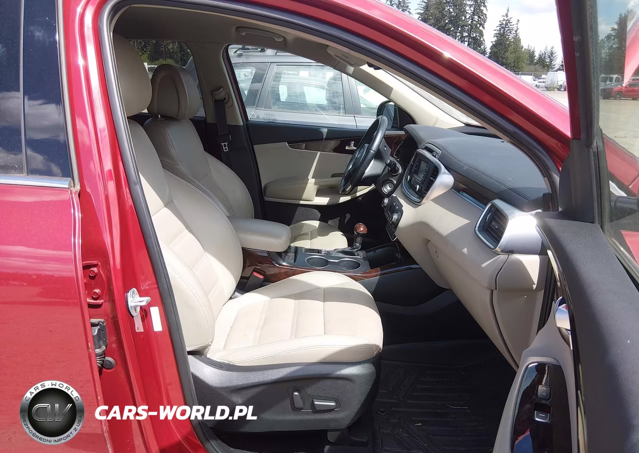 2016 Kia Sorento 3.3L Ex VIN:5XYPHDA58GG176243 - 5