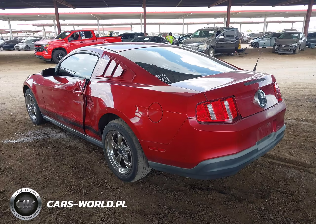 2010 Ford Mustang V6-V6 Premium VIN:1ZVBP8AN4A5154094 - 3