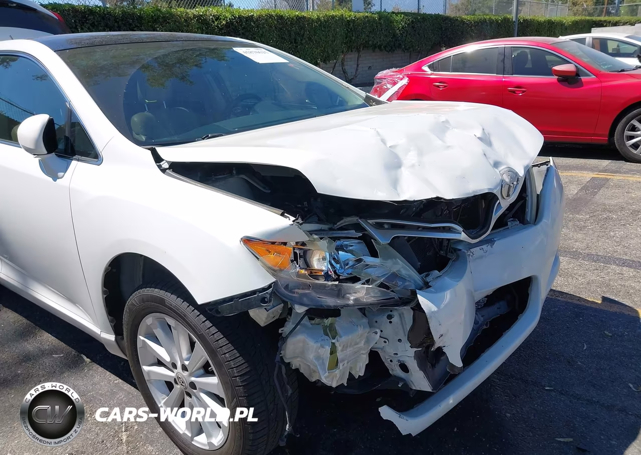 2010 Toyota Venza VIN:4T3ZA3BB8AU029702 - 12