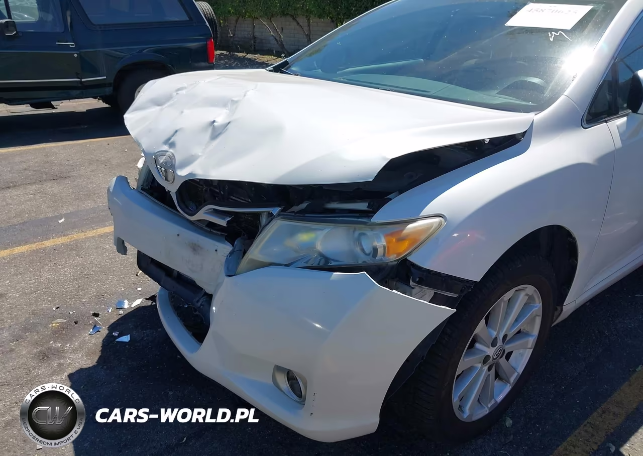 2010 Toyota Venza VIN:4T3ZA3BB8AU029702 - 13