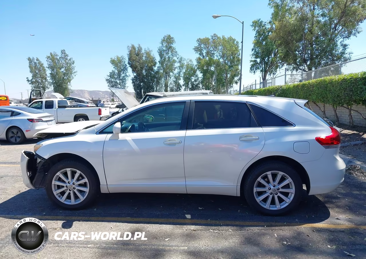 2010 Toyota Venza VIN:4T3ZA3BB8AU029702 - 16