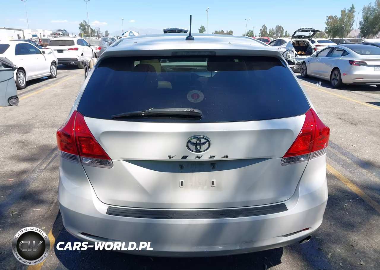 2010 Toyota Venza VIN:4T3ZA3BB8AU029702 - 18