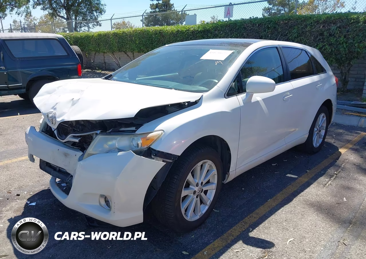 2010 Toyota Venza VIN:4T3ZA3BB8AU029702 - 2