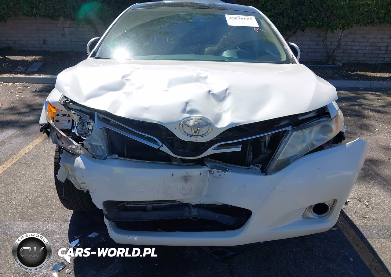 2010 Toyota Venza VIN:4T3ZA3BB8AU029702 - 6