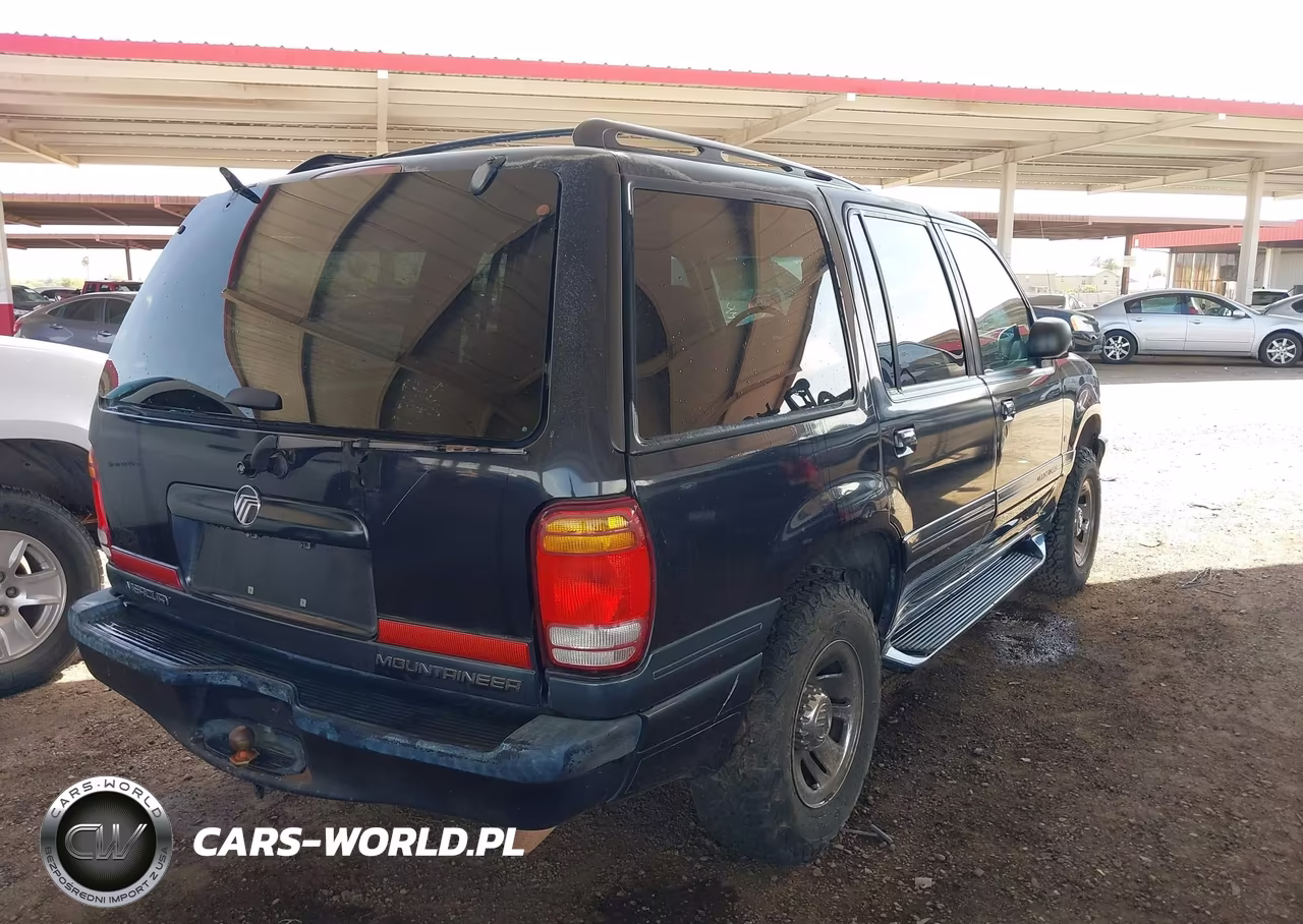 1999 Mercury Mountaineer VIN:4M2DU55P1XUJ24249 - 4