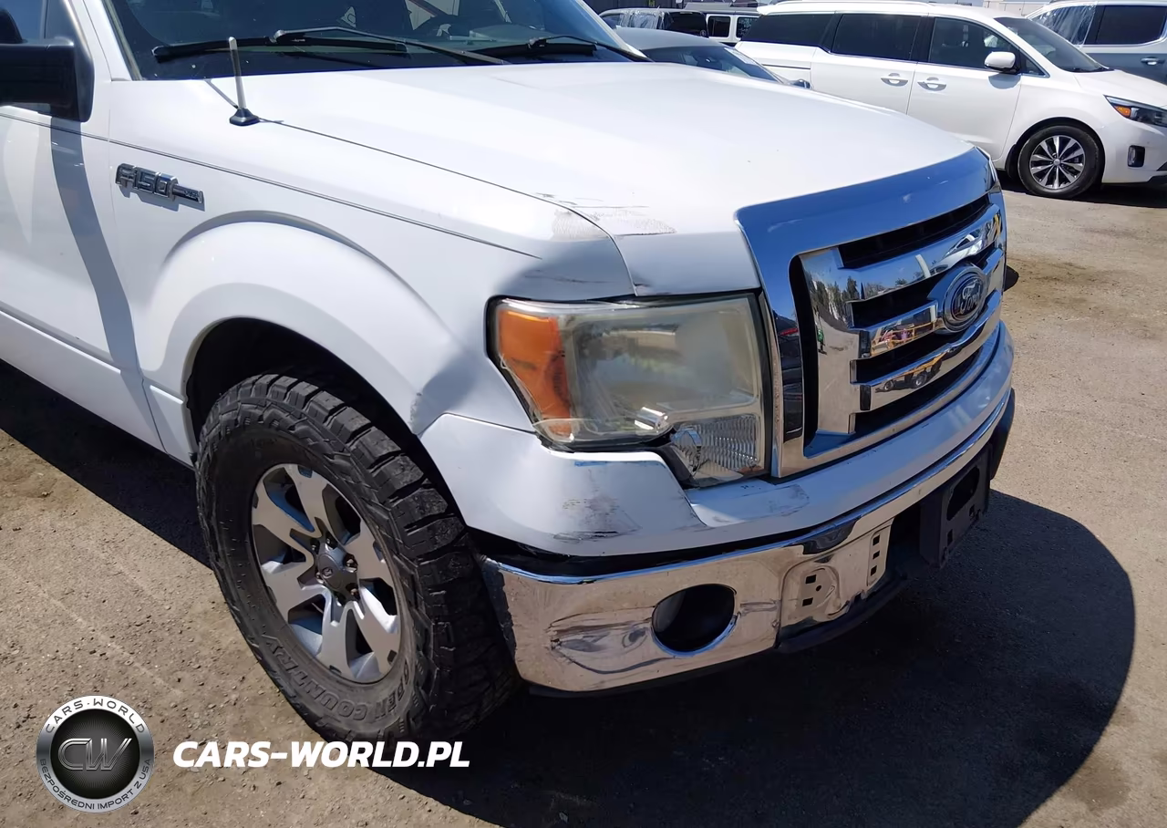 2010 Ford F-150 Xlt VIN:1FTEW1C82AFC52309 - 13