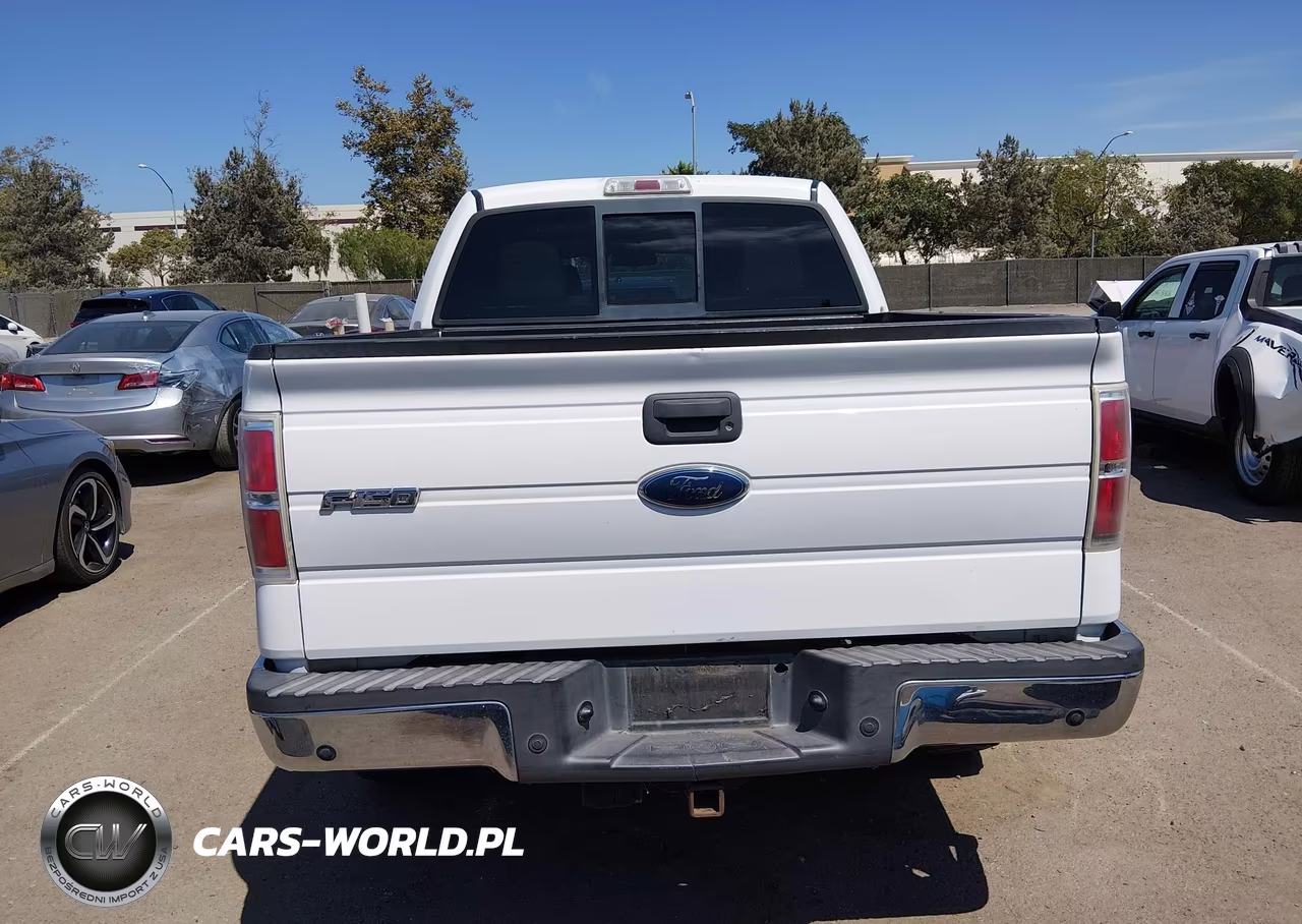 2010 Ford F-150 Xlt VIN:1FTEW1C82AFC52309 - 19