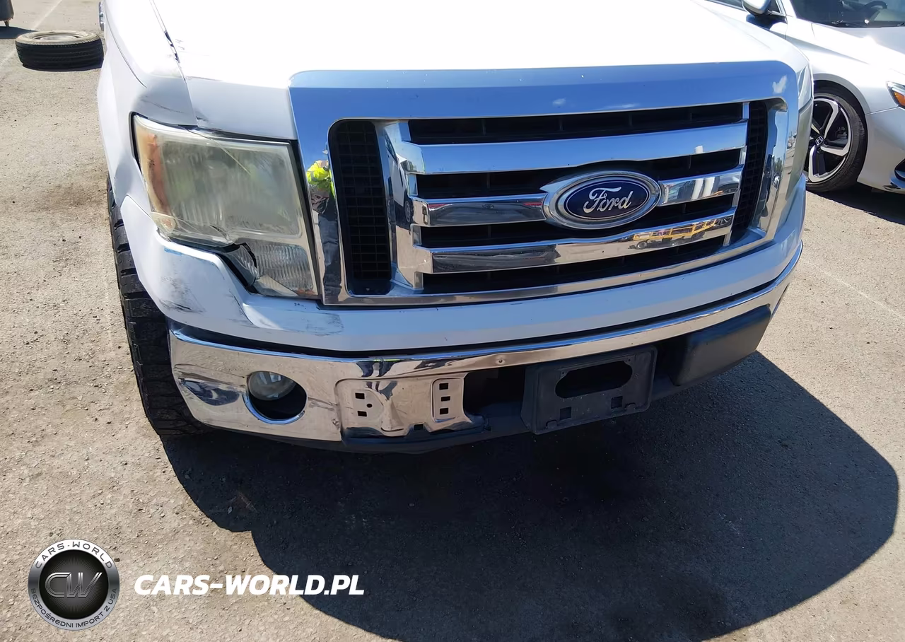 2010 Ford F-150 Xlt VIN:1FTEW1C82AFC52309 - 6