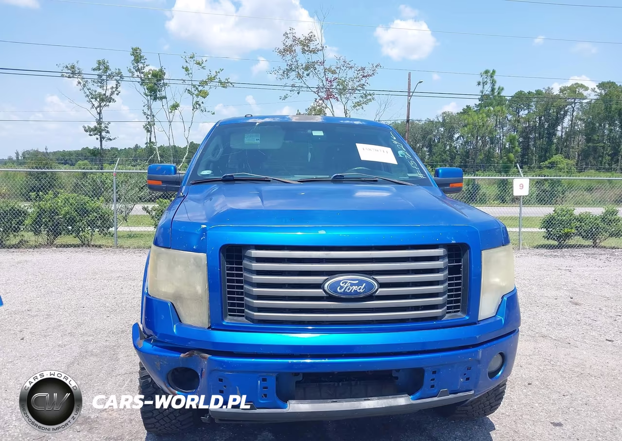 2010 Ford F-150 Fx2 Sport-Stx-Xl-Xlt VIN:1FTEX1C85AKE57224 - 12