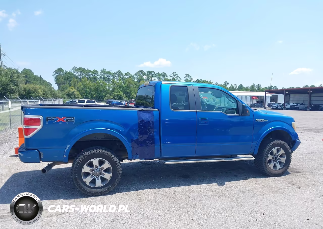 2010 Ford F-150 Fx2 Sport-Stx-Xl-Xlt VIN:1FTEX1C85AKE57224 - 13