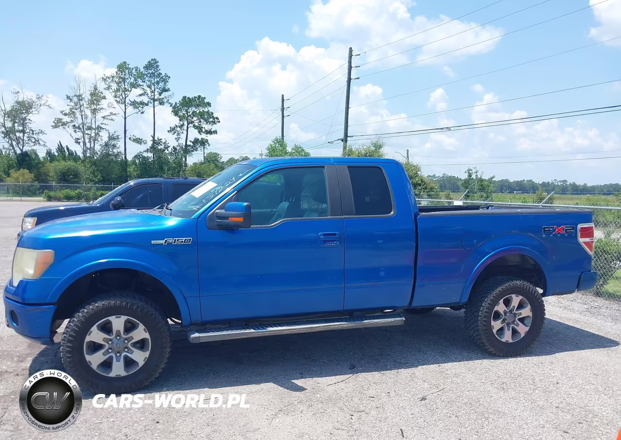 2010 Ford F-150 Fx2 Sport-Stx-Xl-Xlt VIN:1FTEX1C85AKE57224 - 14