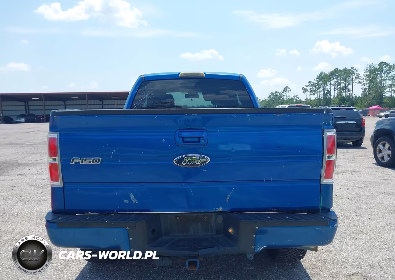 2010 Ford F-150 Fx2 Sport-Stx-Xl-Xlt VIN:1FTEX1C85AKE57224 - 16
