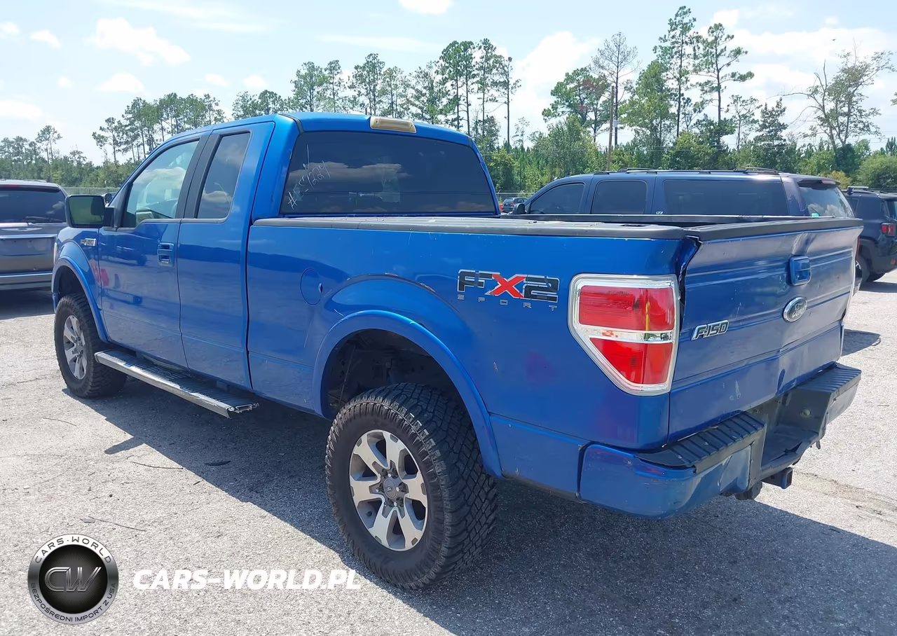 2010 Ford F-150 Fx2 Sport-Stx-Xl-Xlt VIN:1FTEX1C85AKE57224 - 3