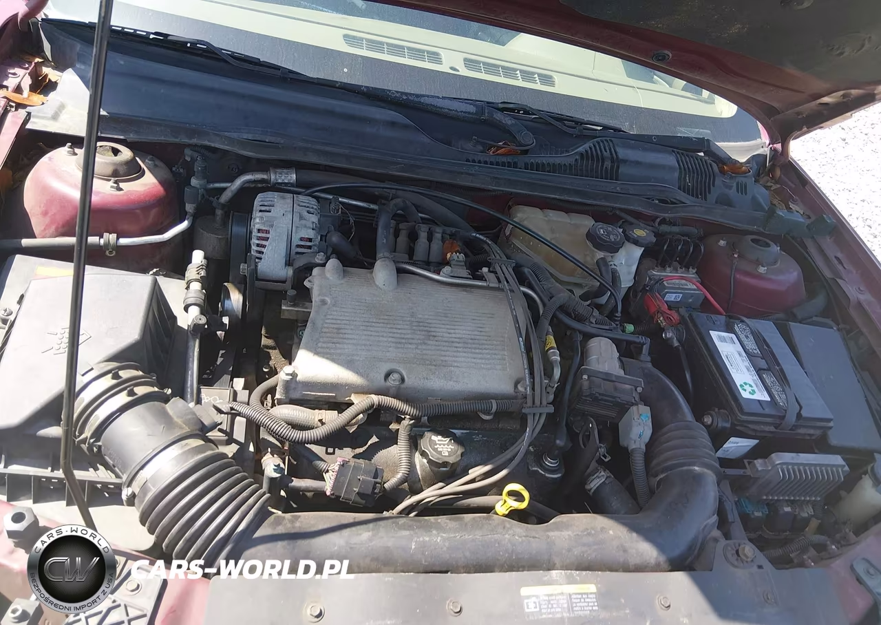 2004 Chevrolet Malibu Lt VIN:1G1ZU54824F125229 - 10