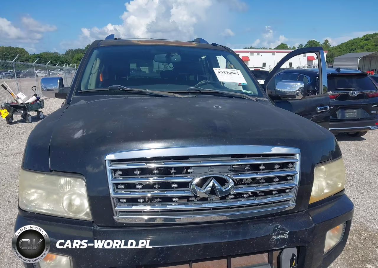 2010 Infiniti Qx56 VIN:5N3ZA0NF4AN902014 - 10