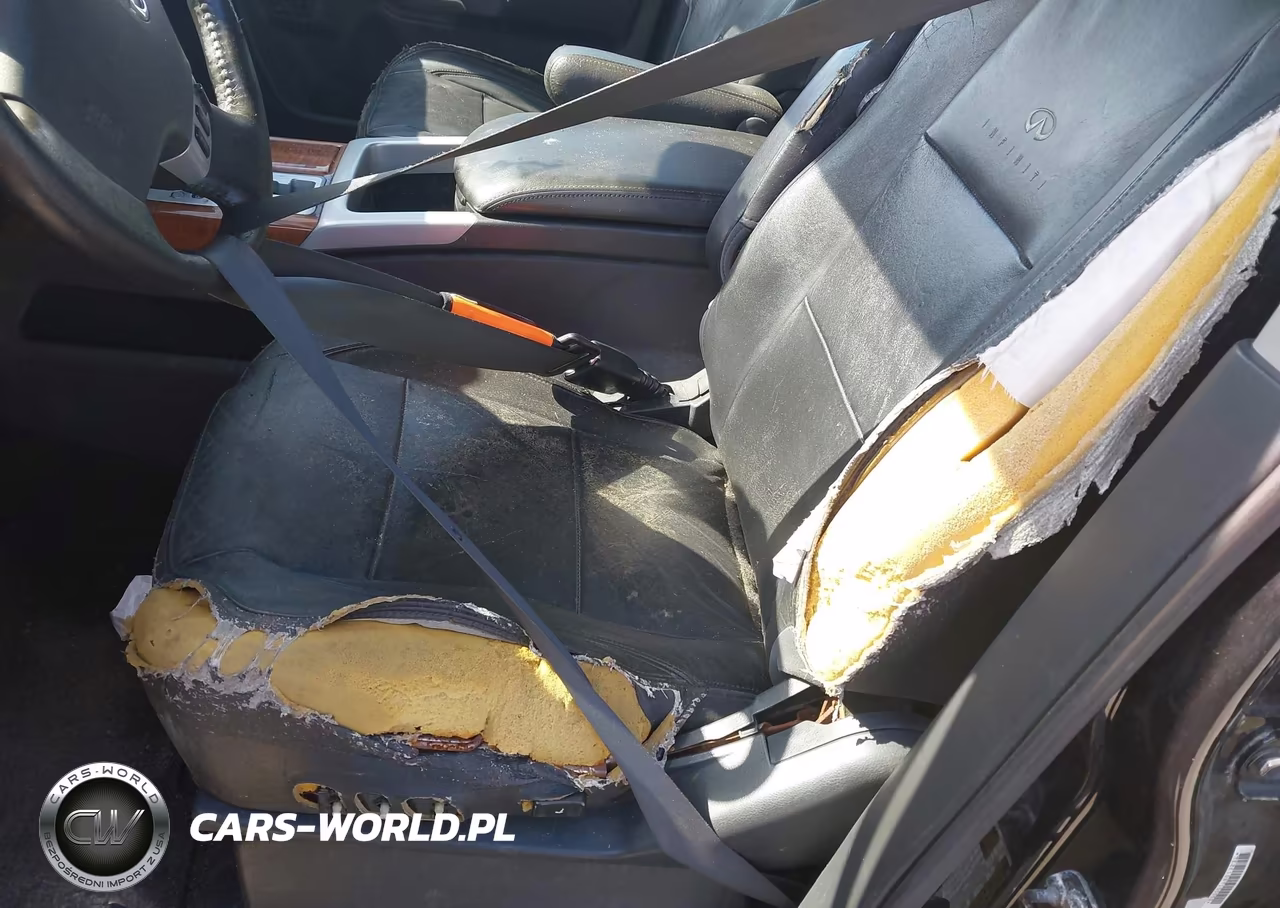 2010 Infiniti Qx56 VIN:5N3ZA0NF4AN902014 - 6
