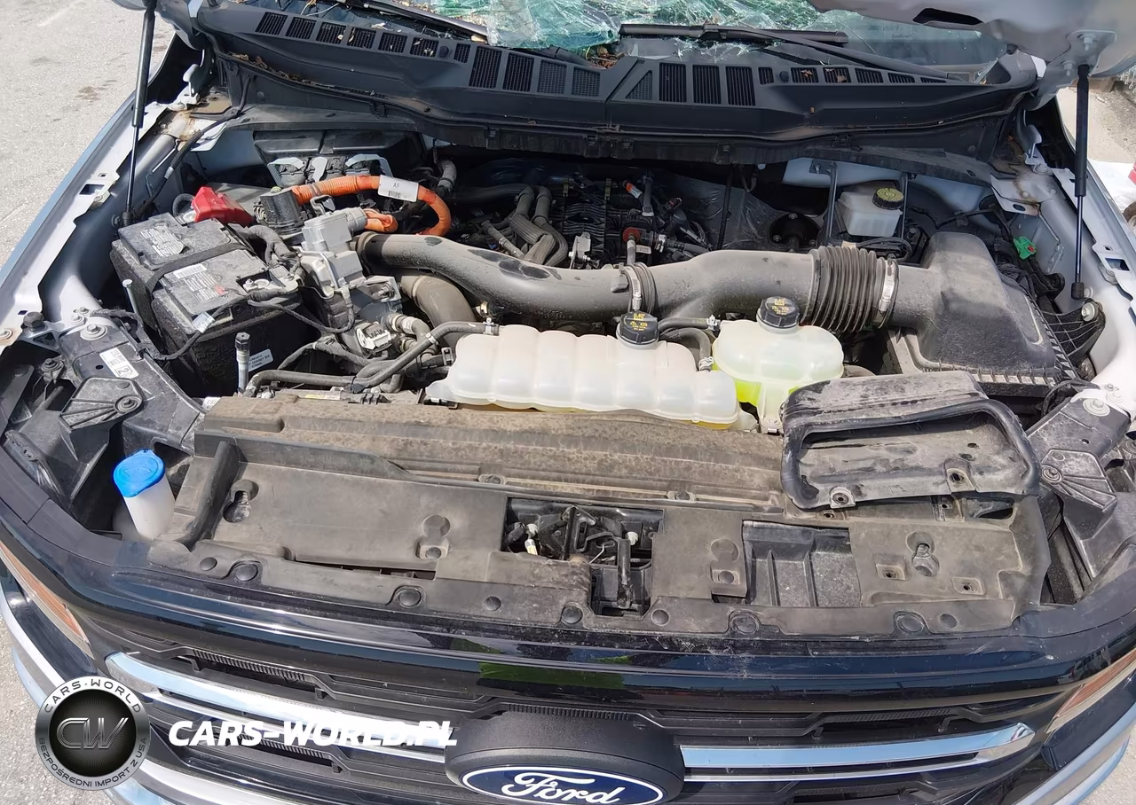 2024 Ford F-150 Xlt VIN:1FTFW3LD3RFA72782 - 10