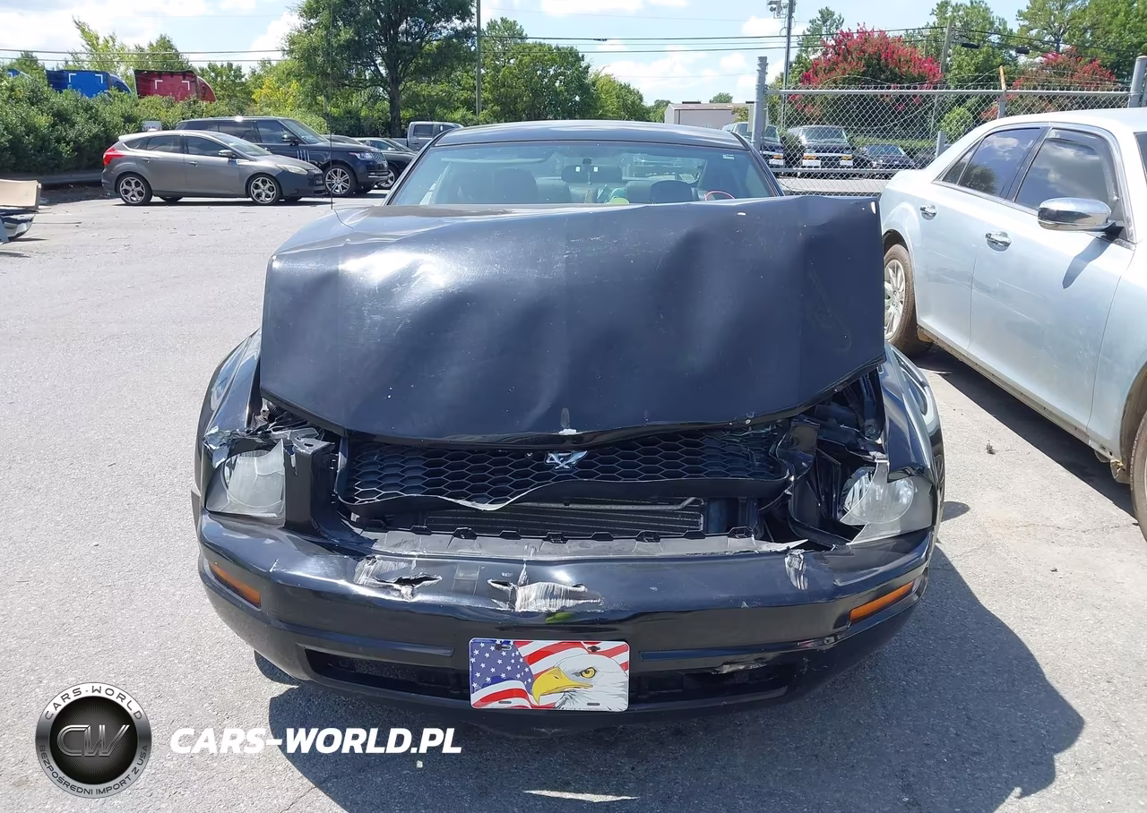2008 Ford Mustang V6 Deluxe-V6 Premium VIN:1ZVHT80N185119997 - 12