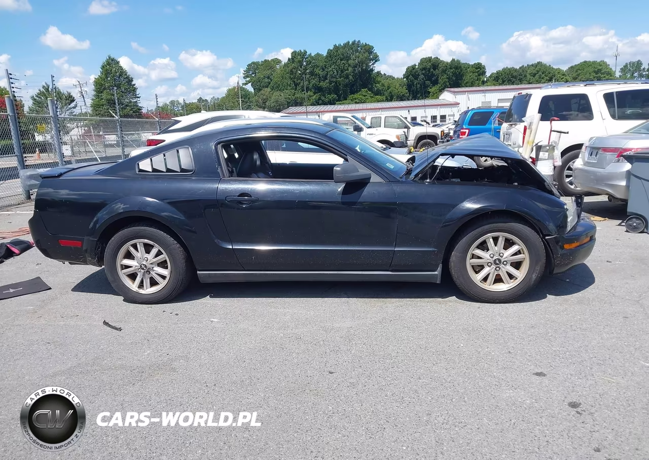 2008 Ford Mustang V6 Deluxe-V6 Premium VIN:1ZVHT80N185119997 - 13