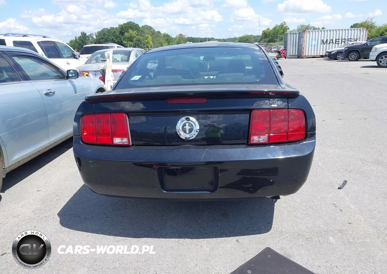 2008 Ford Mustang V6 Deluxe-V6 Premium VIN:1ZVHT80N185119997 - 16
