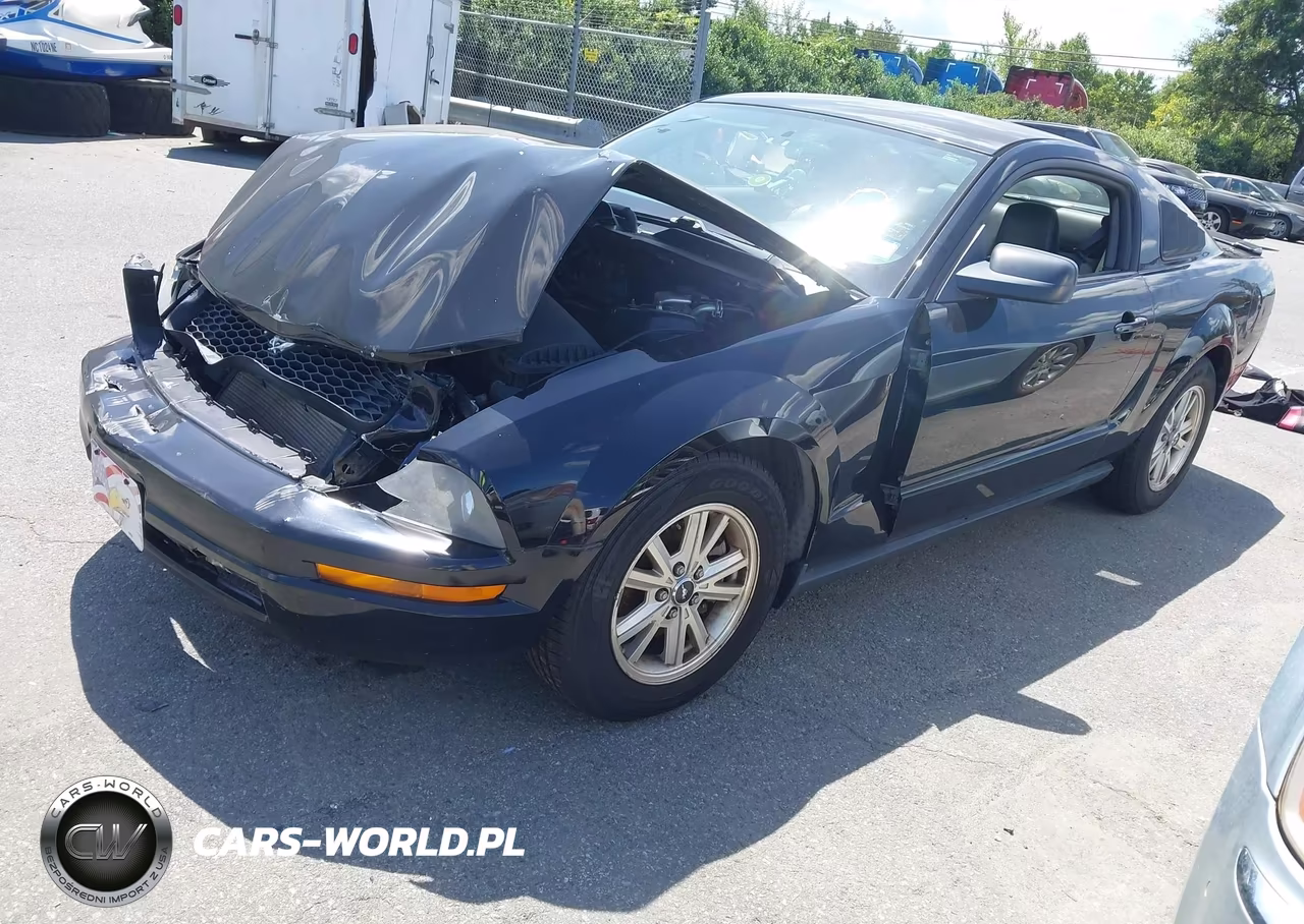 2008 Ford Mustang V6 Deluxe-V6 Premium VIN:1ZVHT80N185119997 - 2