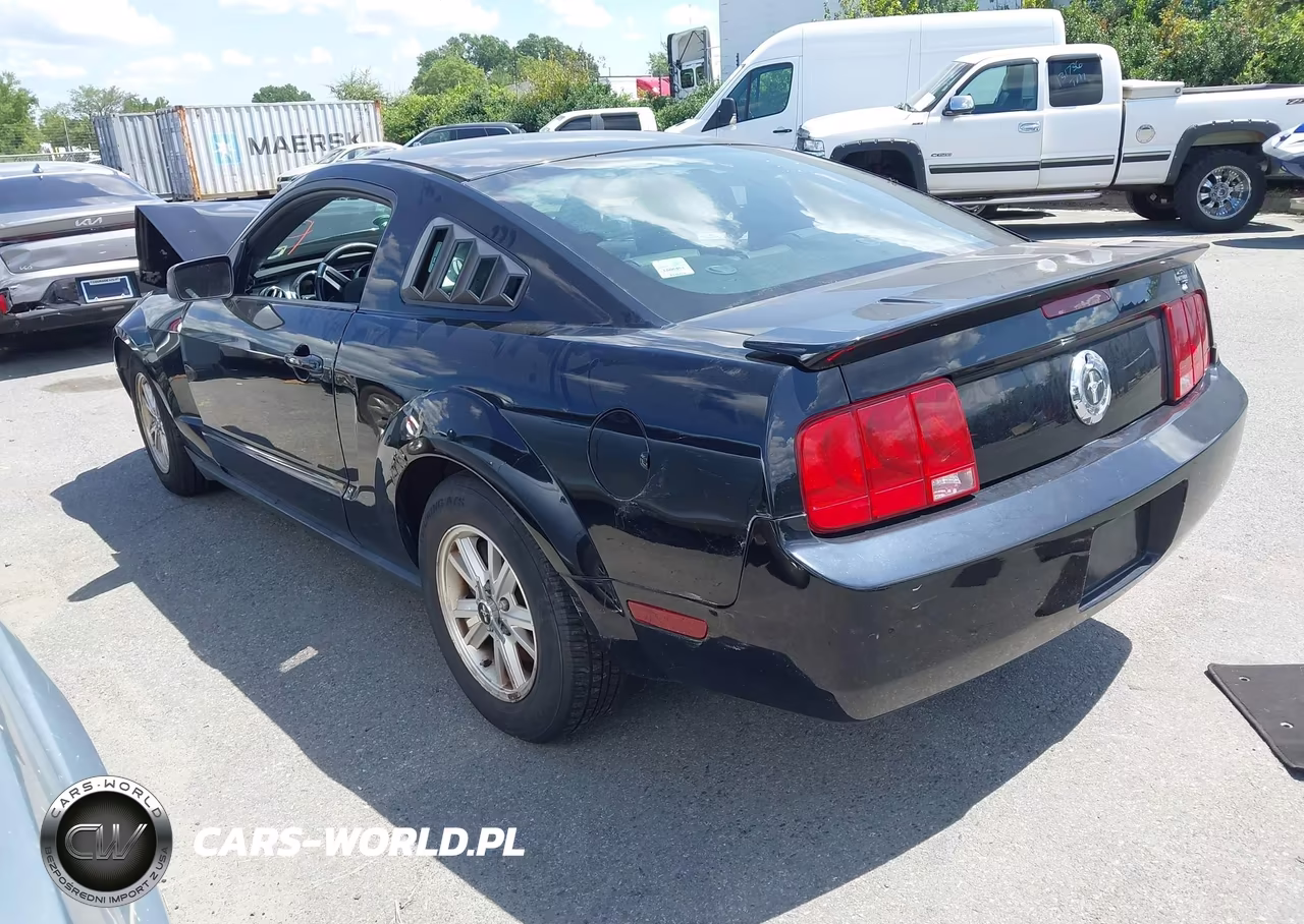 2008 Ford Mustang V6 Deluxe-V6 Premium VIN:1ZVHT80N185119997 - 3