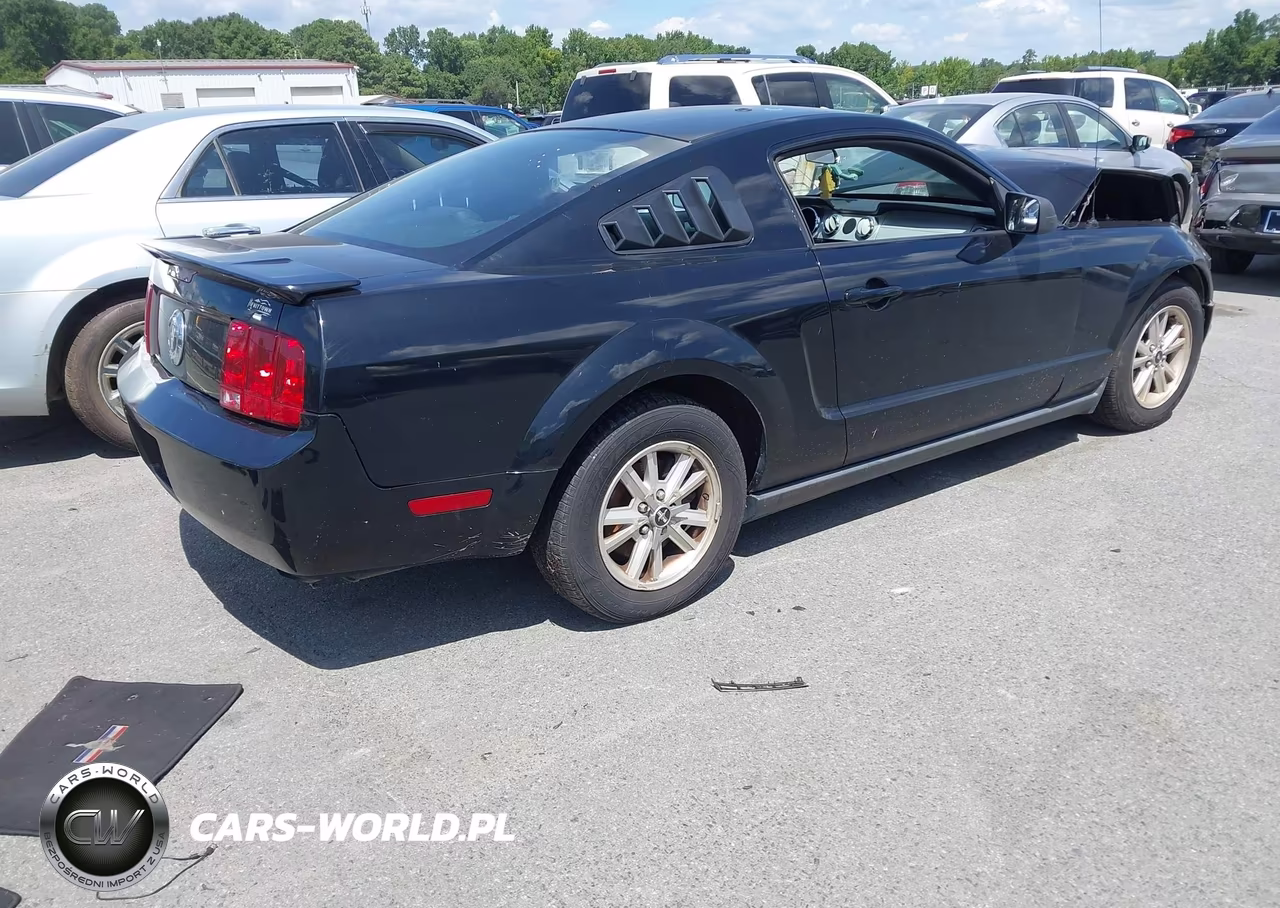2008 Ford Mustang V6 Deluxe-V6 Premium VIN:1ZVHT80N185119997 - 4