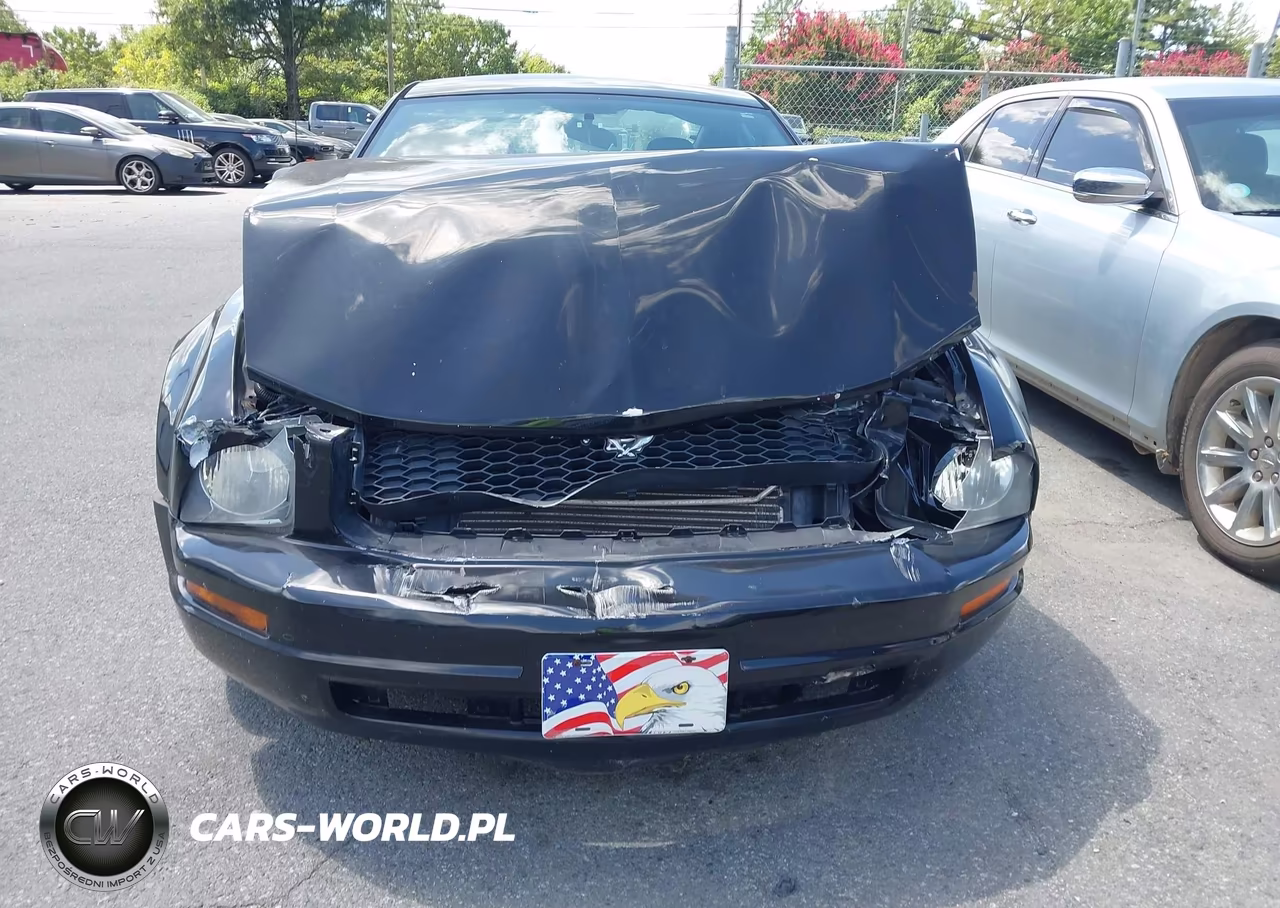 2008 Ford Mustang V6 Deluxe-V6 Premium VIN:1ZVHT80N185119997 - 6