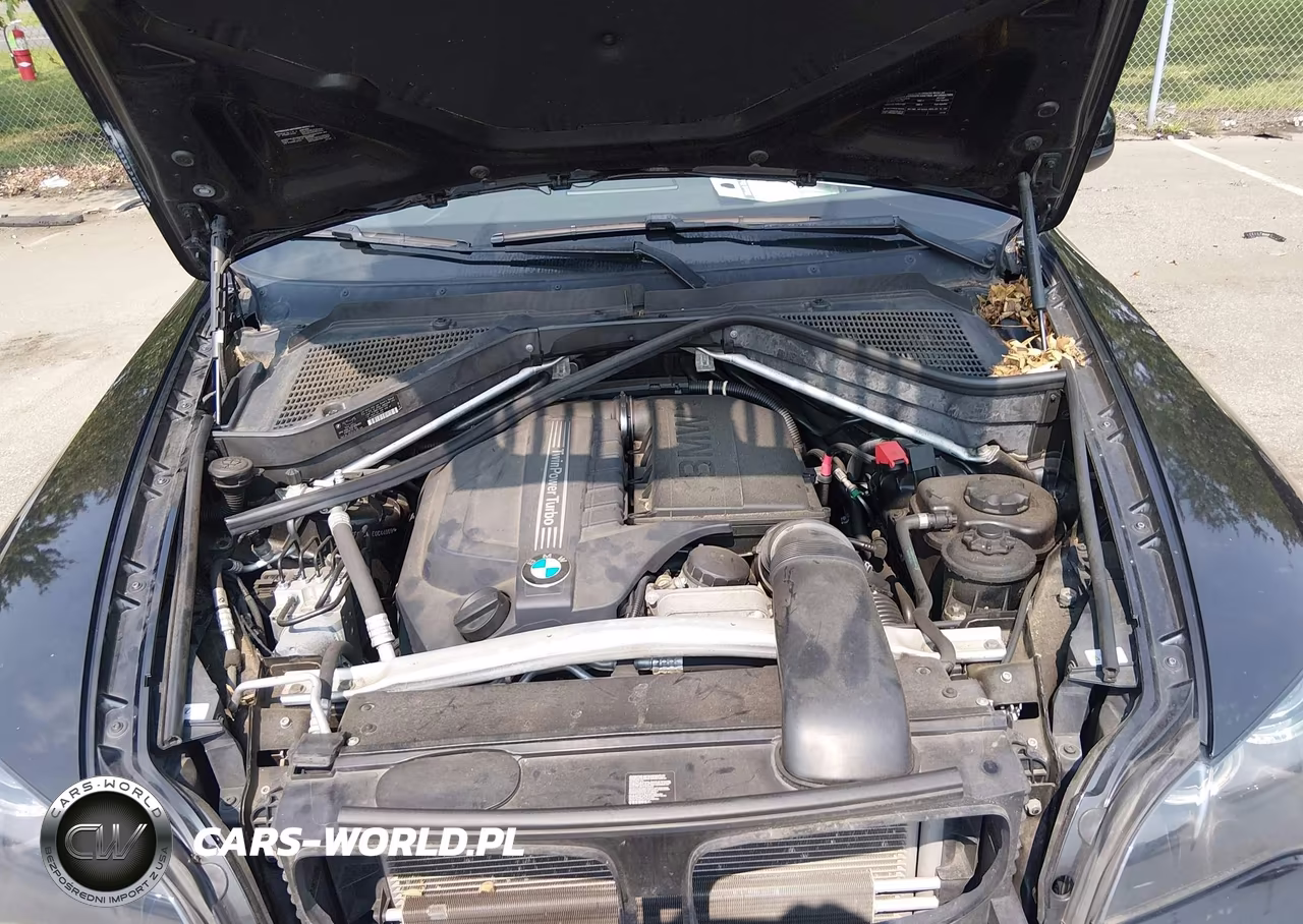 2014 BMW X6 xDrive35I VIN:5UXFG2C56E0C44009 - 10