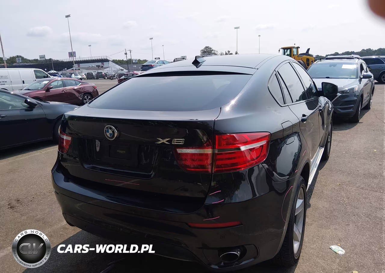 2014 BMW X6 xDrive35I VIN:5UXFG2C56E0C44009 - 4