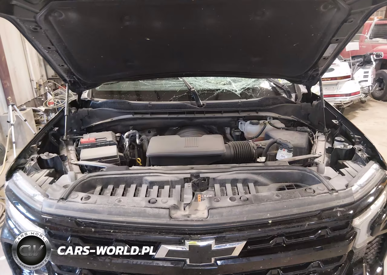 2024 Chevrolet Silverado 1500 Lt Trail Boss VIN:3GCUDFED5RG386119 - 10