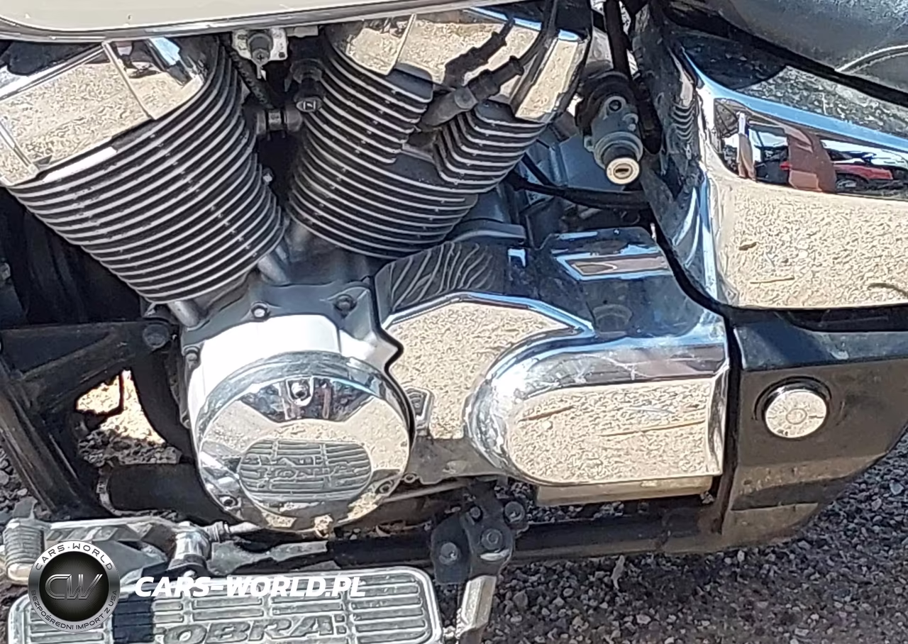 2006 Honda Vt750 Ca VIN:JH2RC50486K210185 - 9