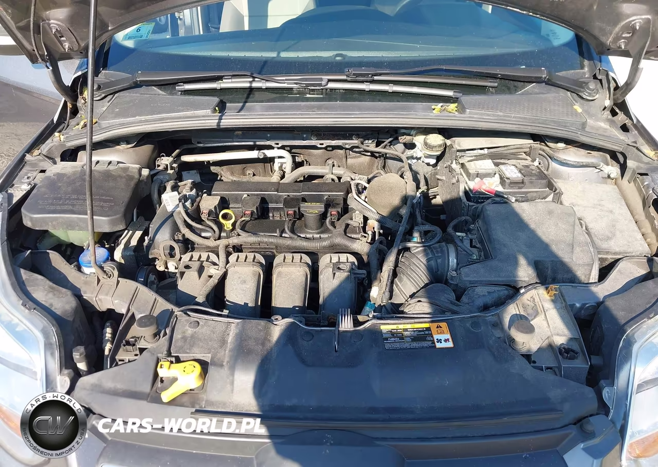 2014 Ford Focus Se VIN:1FADP3K26EL166936 - 10
