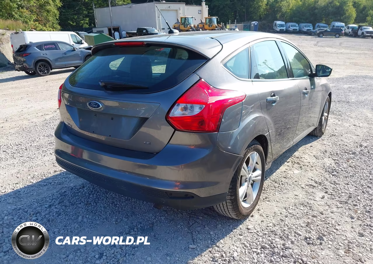 2014 Ford Focus Se VIN:1FADP3K26EL166936 - 4